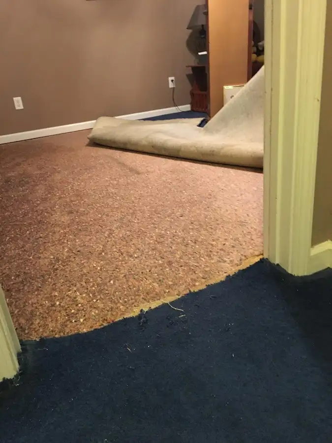 Carpet pad removal revealing water damage during Drying & Dehumidification in Alvarado